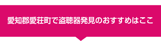愛知郡愛荘町で盗聴器発見のおすすめはここ