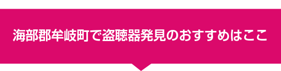 海部郡牟岐町で盗聴器発見のおすすめはここ