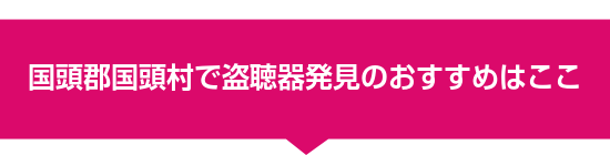 国頭郡国頭村で盗聴器発見のおすすめはここ