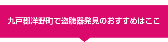九戸郡洋野町で盗聴器発見のおすすめはここ