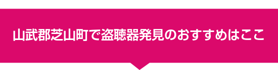 山武郡芝山町で盗聴器発見のおすすめはここ