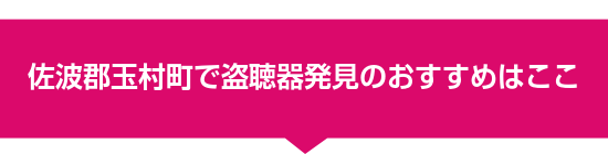 佐波郡玉村町で盗聴器発見のおすすめはここ