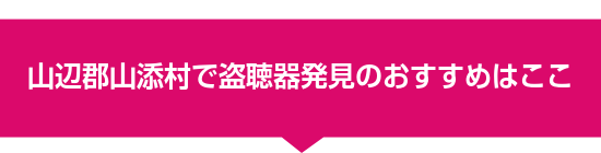 山辺郡山添村で盗聴器発見のおすすめはここ